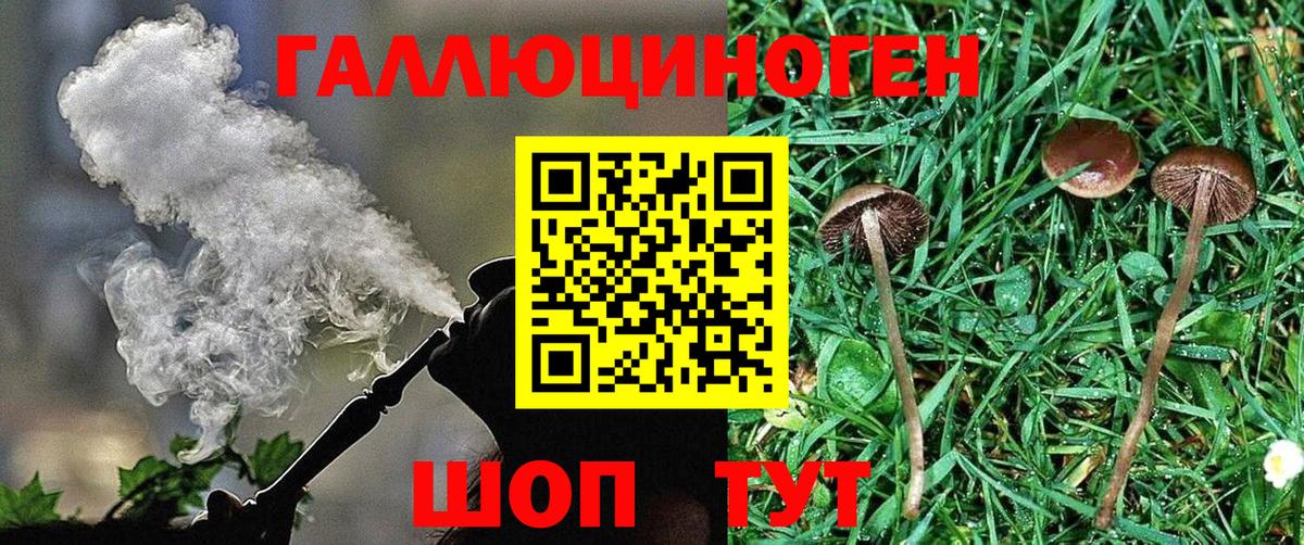цена наркотик  Вход с VPN  Апшеронск  Галлюциногенные грибы мицелий 